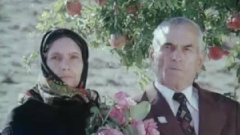 Призвание – учитель