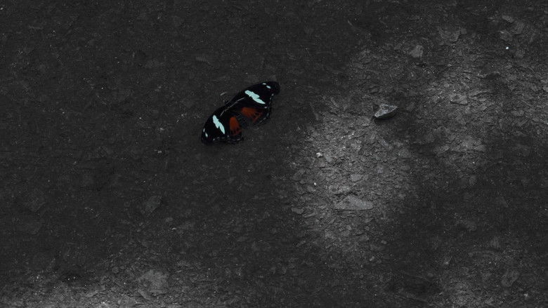 кадр из фильма Вспоминая маму