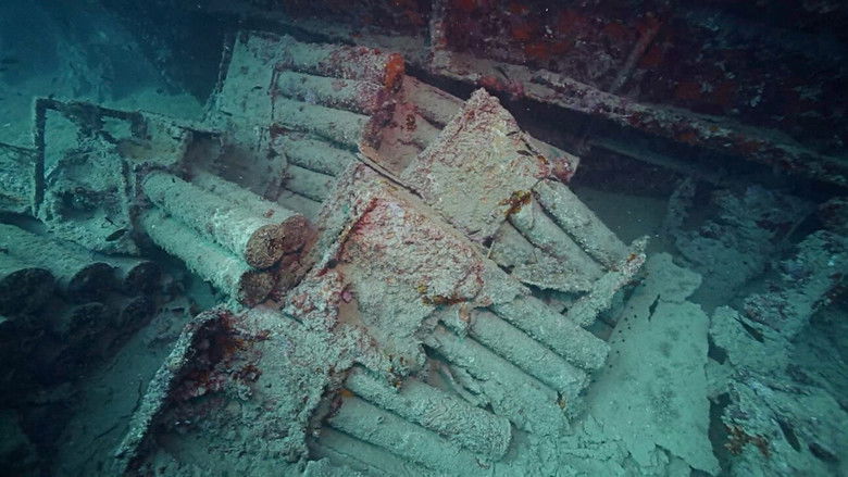 кадр из фильма What is left behind