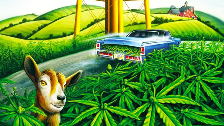 кадр из фильма Канзас на колесах