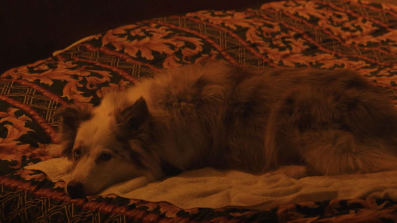 кадр из фильма Nowhere