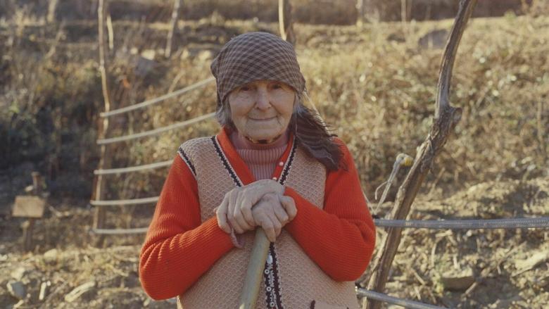 кадр из фильма Navadna hruška