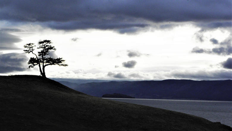 кадр из фильма Invisible World