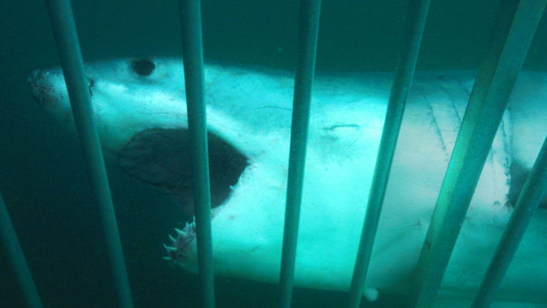 кадр из фильма Акула - хищник в камуфляже
