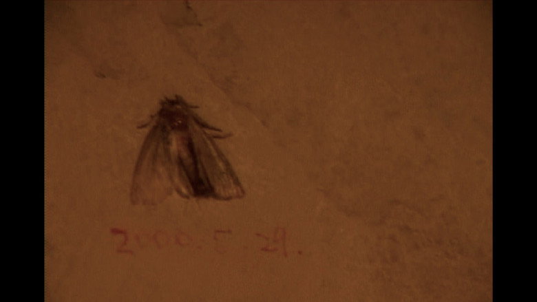 кадр из фильма 閉じる日