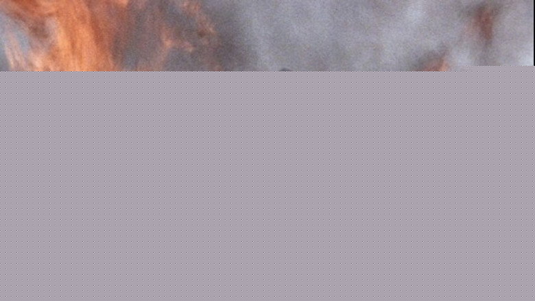 кадр из фильма Потроха девственницы