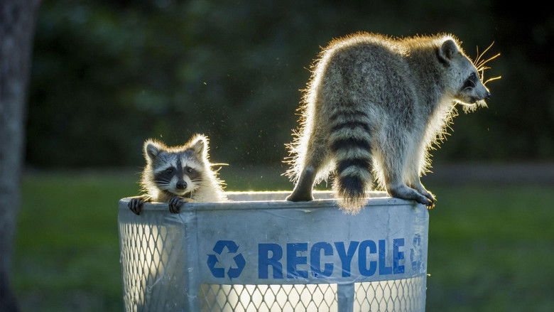 кадр из фильма Miami Wild