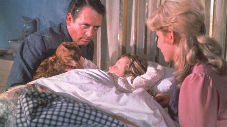 кадр из фильма Три жизни Томаcины