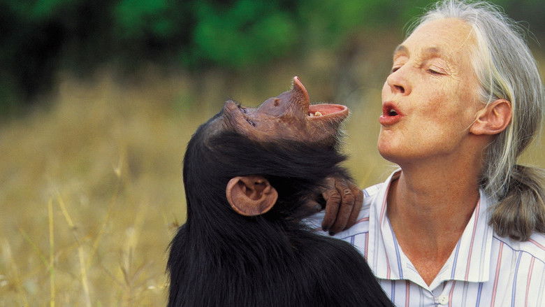 кадр из фильма Jane Goodall: Saving Paradise