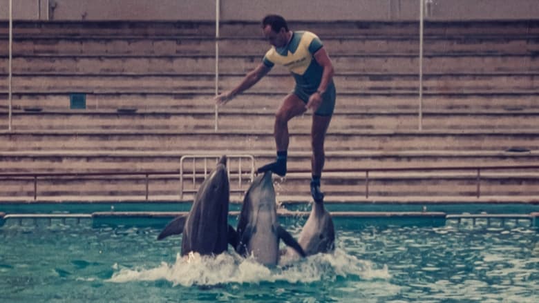 ¿Qué le pasó al rey de los delfines?