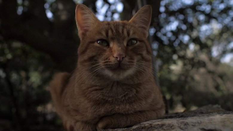 кадр из фильма Le chant d'Empédocle