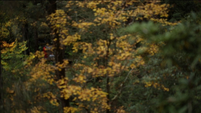 кадр из фильма Monk in the Forest