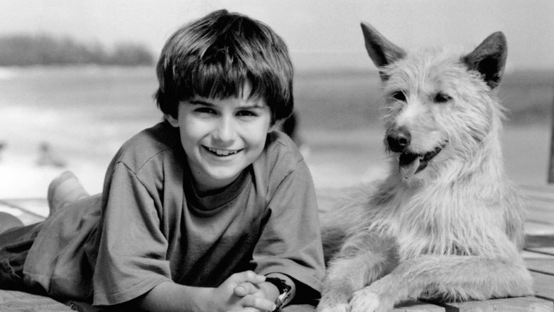 кадр из фильма Зевс и Роксана