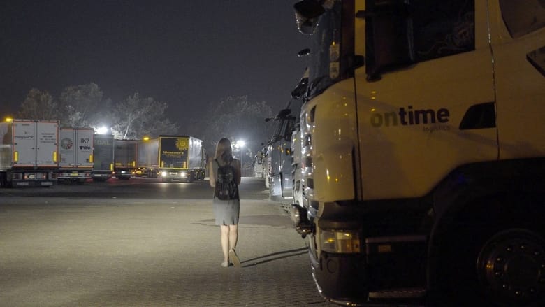 Редистрибьюторы