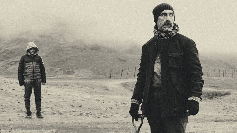 кадр из фильма The Ceremony