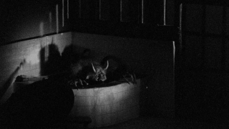 кадр из фильма Kuro Blues