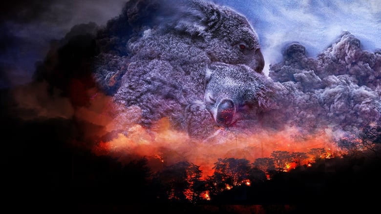 кадр из фильма Wild Australia: After the Fires