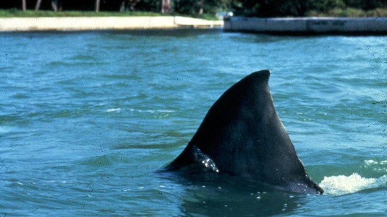 кадр из фильма Челюсти 3