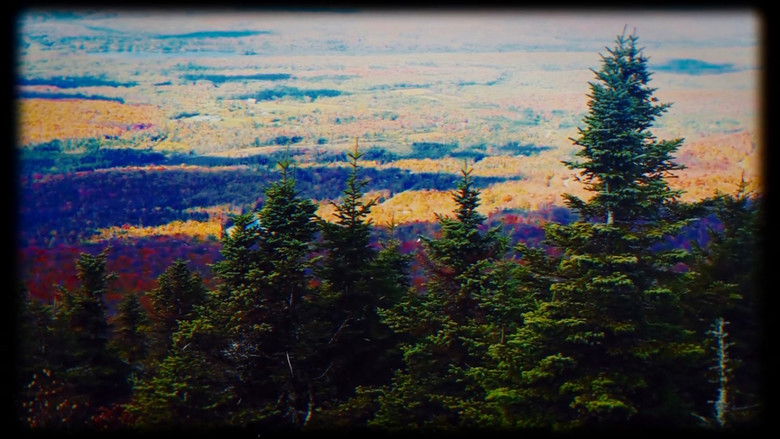 кадр из фильма Bigfoot's Bride