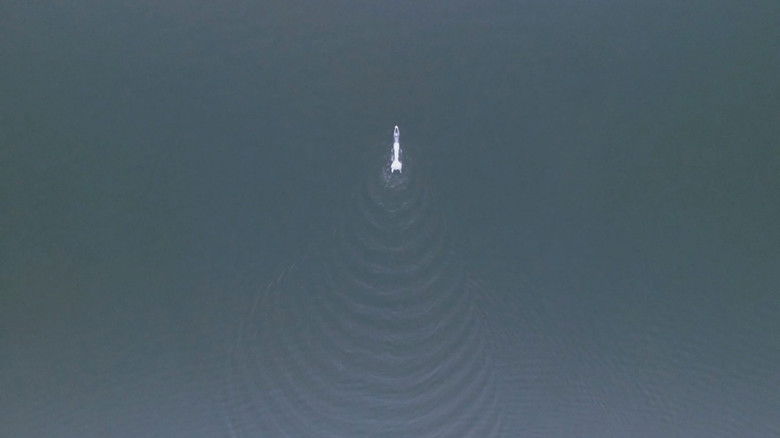 кадр из фильма Sirenomelia