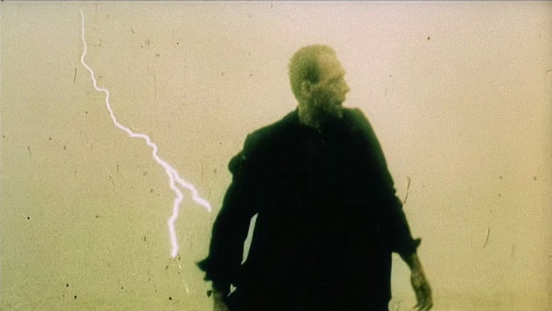 кадр из фильма Посетитель музея