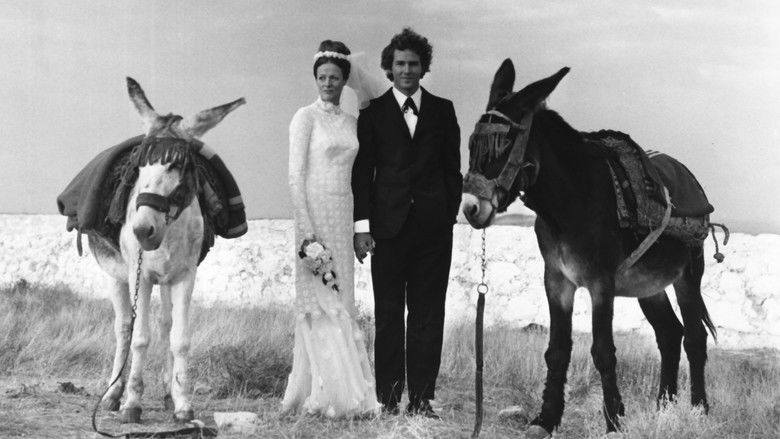 кадр из фильма Love and Pain and the Whole Damn Thing