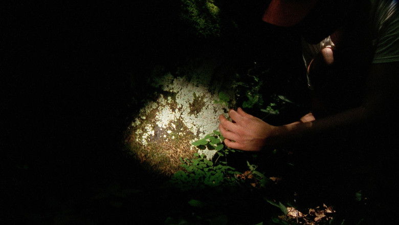 кадр из фильма Make a Distinction