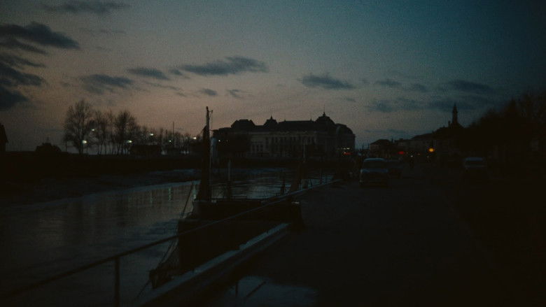 кадр из фильма Мужчина и женщина