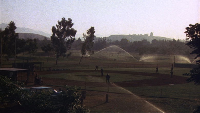 кадр из фильма Несносные медведи