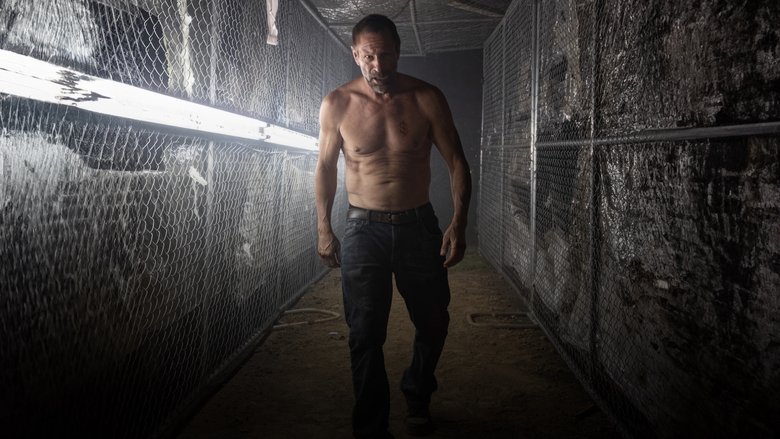 кадр из фильма Грохот сквозь тьму