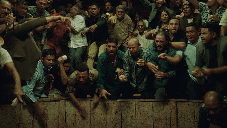 кадр из фильма Пимпинеро: Кровь и бензин