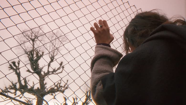 кадр из фильма Мудрость кита