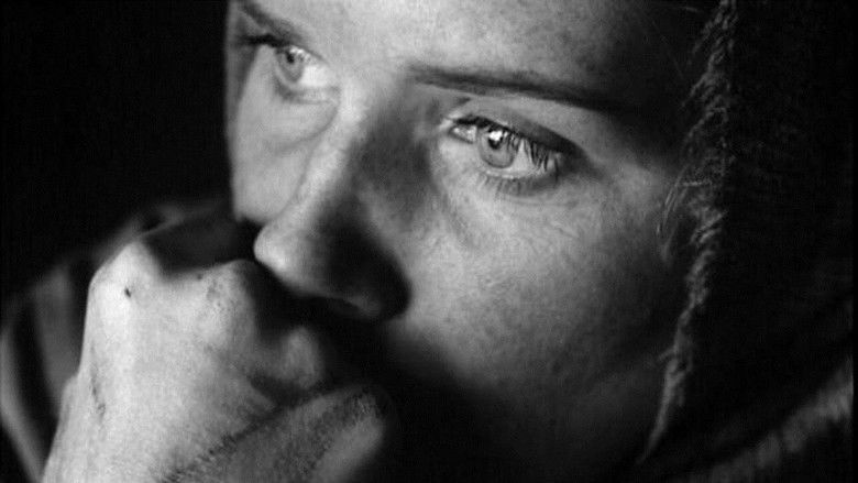 кадр из фильма Стыд