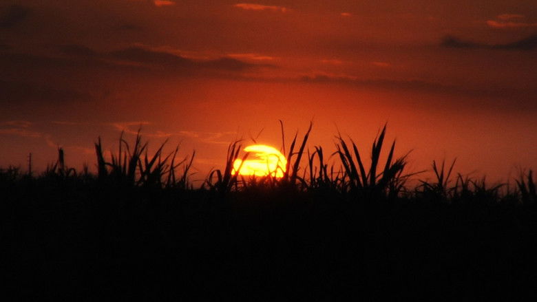 кадр из фильма Фантомные ковбои