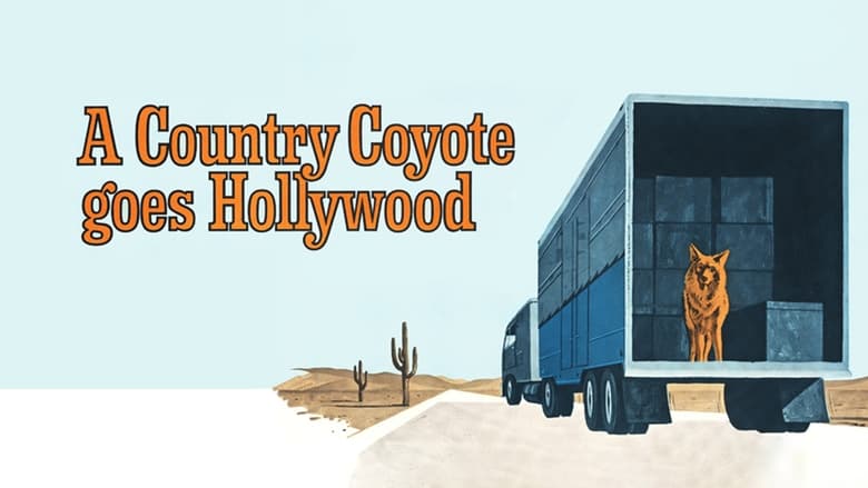 кадр из фильма A Country Coyote Goes Hollywood