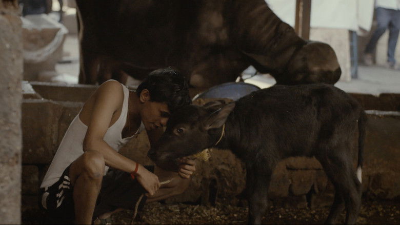 кадр из фильма पान्हा