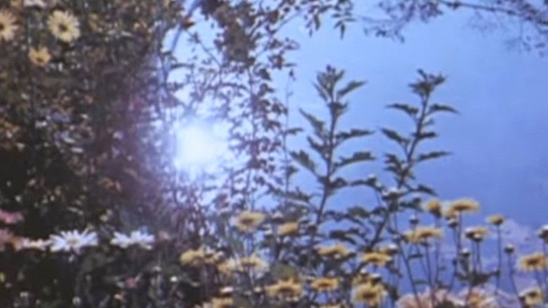 кадр из фильма Angel