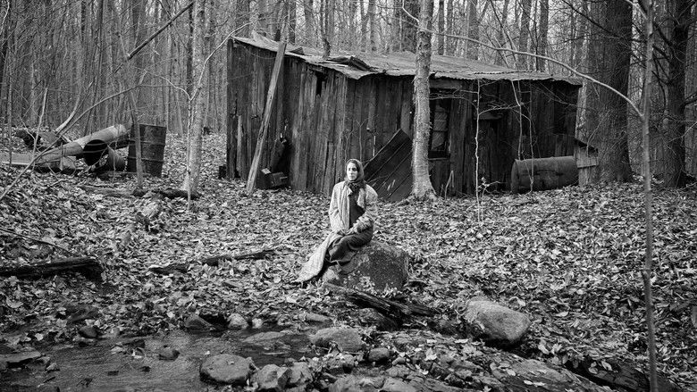 кадр из фильма Nulle trace