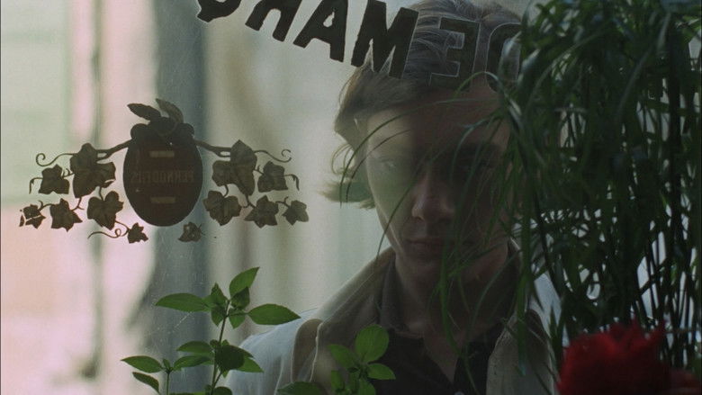 кадр из фильма Le Clair de terre