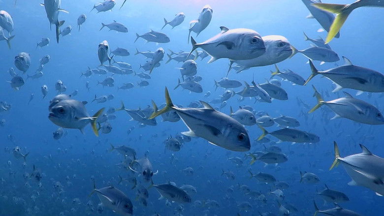 кадр из фильма Castro's Secret Reef