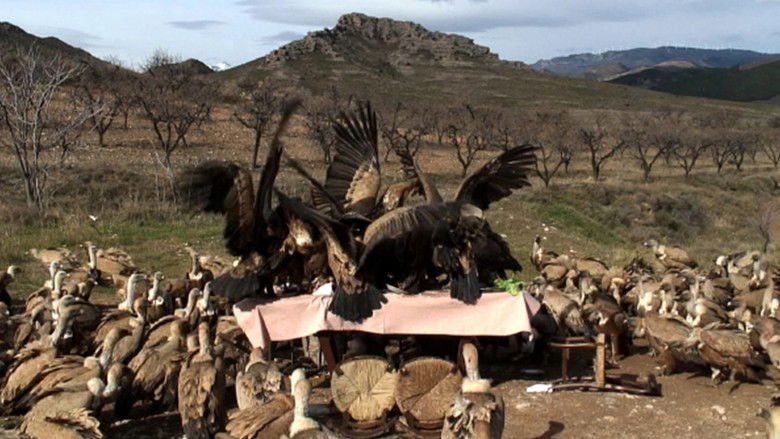 кадр из фильма In Ictu Oculi