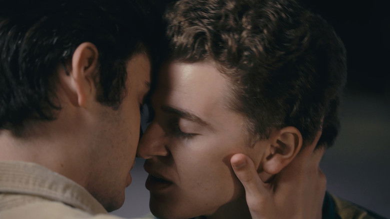 кадр из фильма Photographs