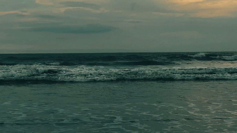 кадр из фильма If You Are Seeing This I've Slowly Passed