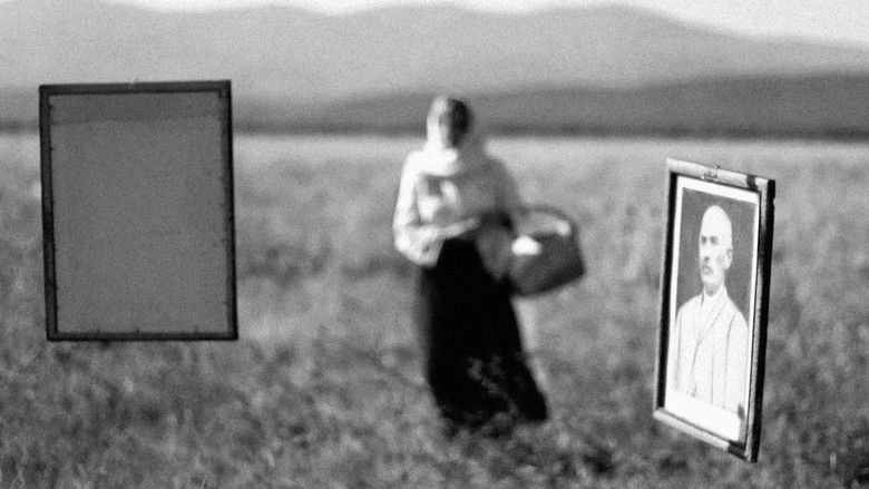 кадр из фильма Doina