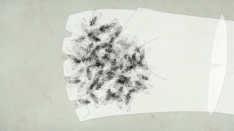 кадр из фильма Suspensão