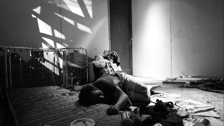 кадр из фильма Perros Serán