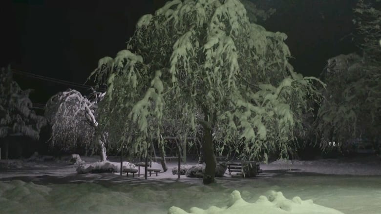 投稿霊像 緑の章