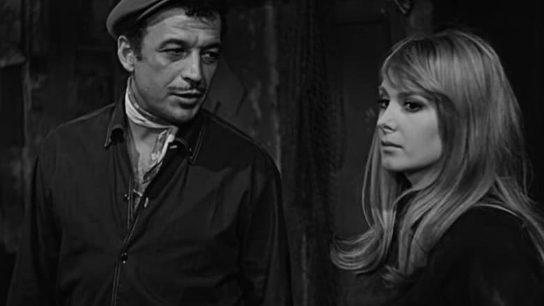 кадр из фильма Efkârlıyım Abiler