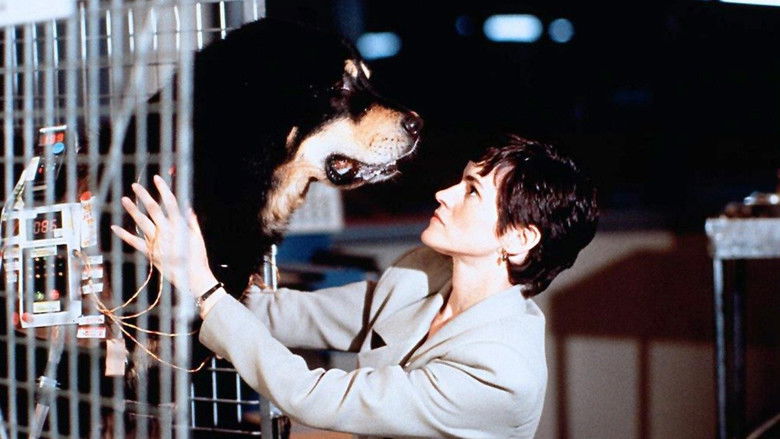 кадр из фильма Лучший друг человека