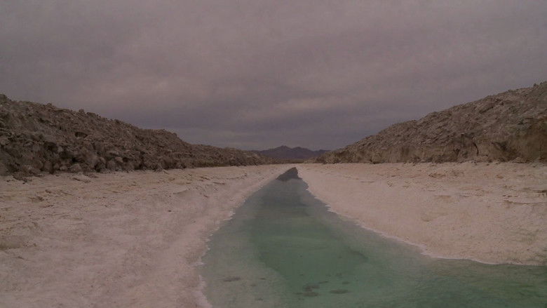 кадр из фильма The United States of America